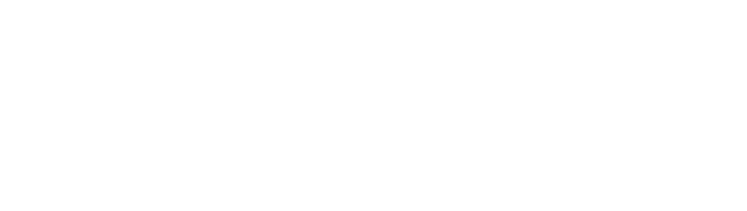 opinno-logo